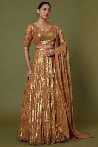 Mandarin Orange Silk Chiffon Lehenga Set