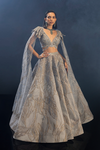 Land of Fantasia Lehenga Set