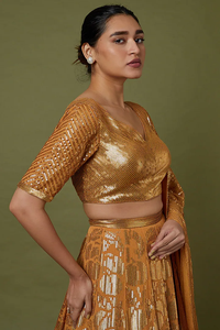 Mandarin Orange Silk Chiffon Lehenga Set