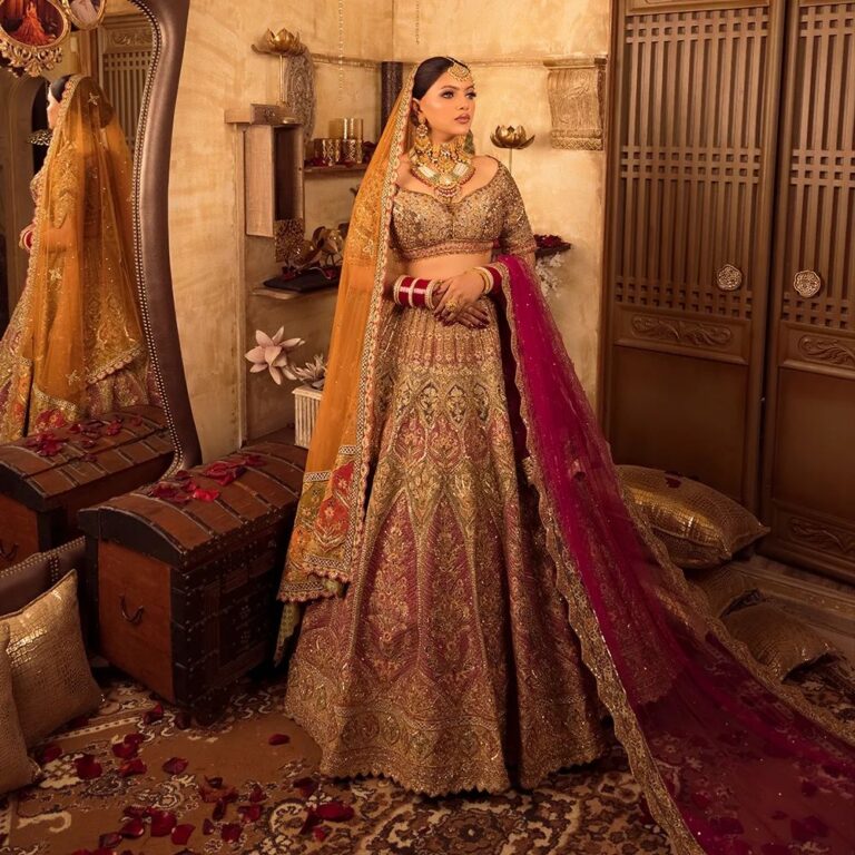 Bridal Lehenga in Ludhiana, Punjab - Rose Creations